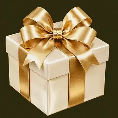 Ribboned gift box — Betzillo