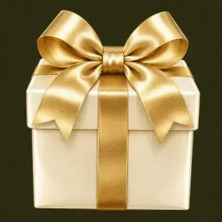 Ribbon gift box — Betzillo